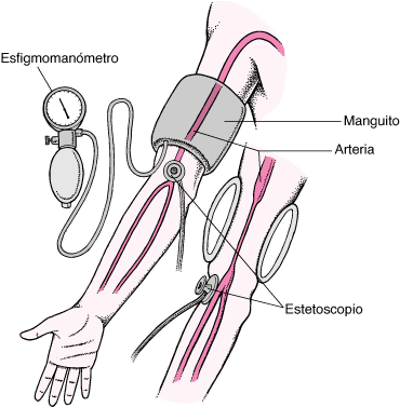 Medición de la presión arterial