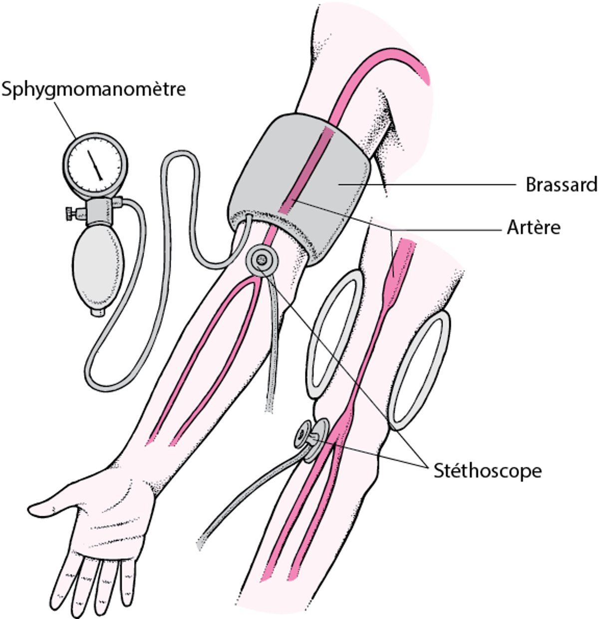 Mesure de la pression artérielle