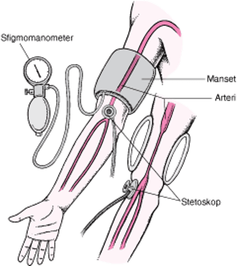 Mengukur Tekanan Darah