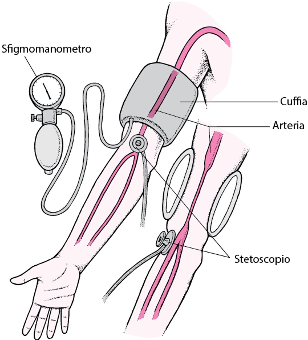 Misurazione della pressione arteriosa