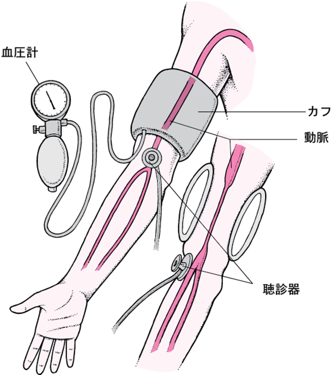 血圧の測定