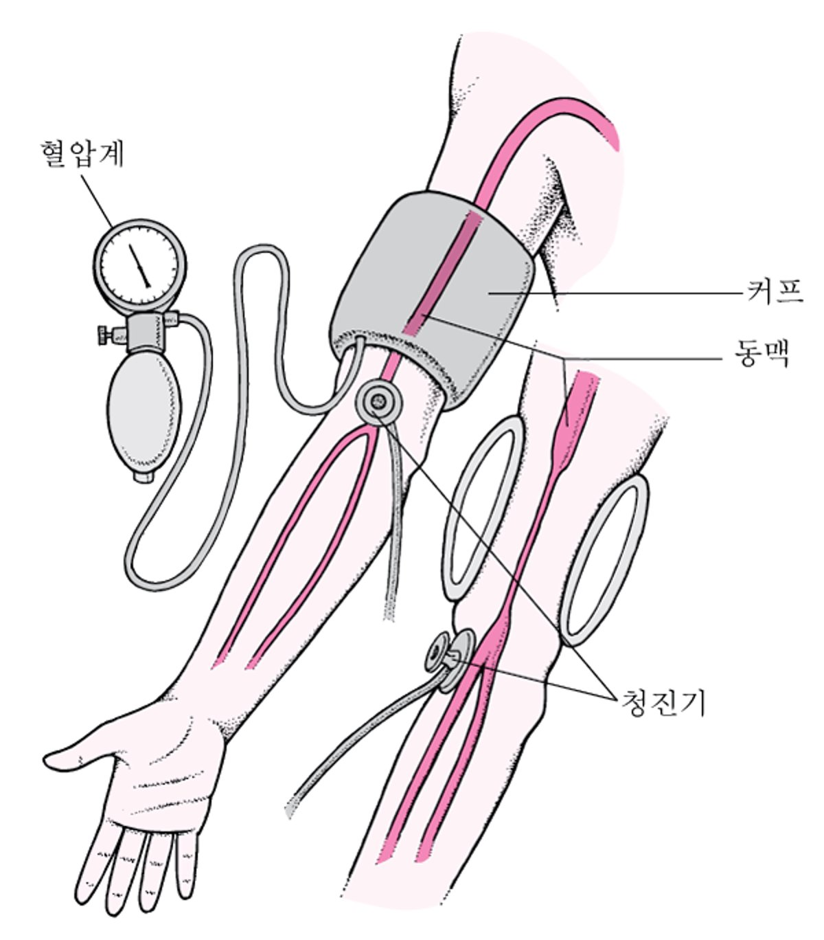 혈압 측정