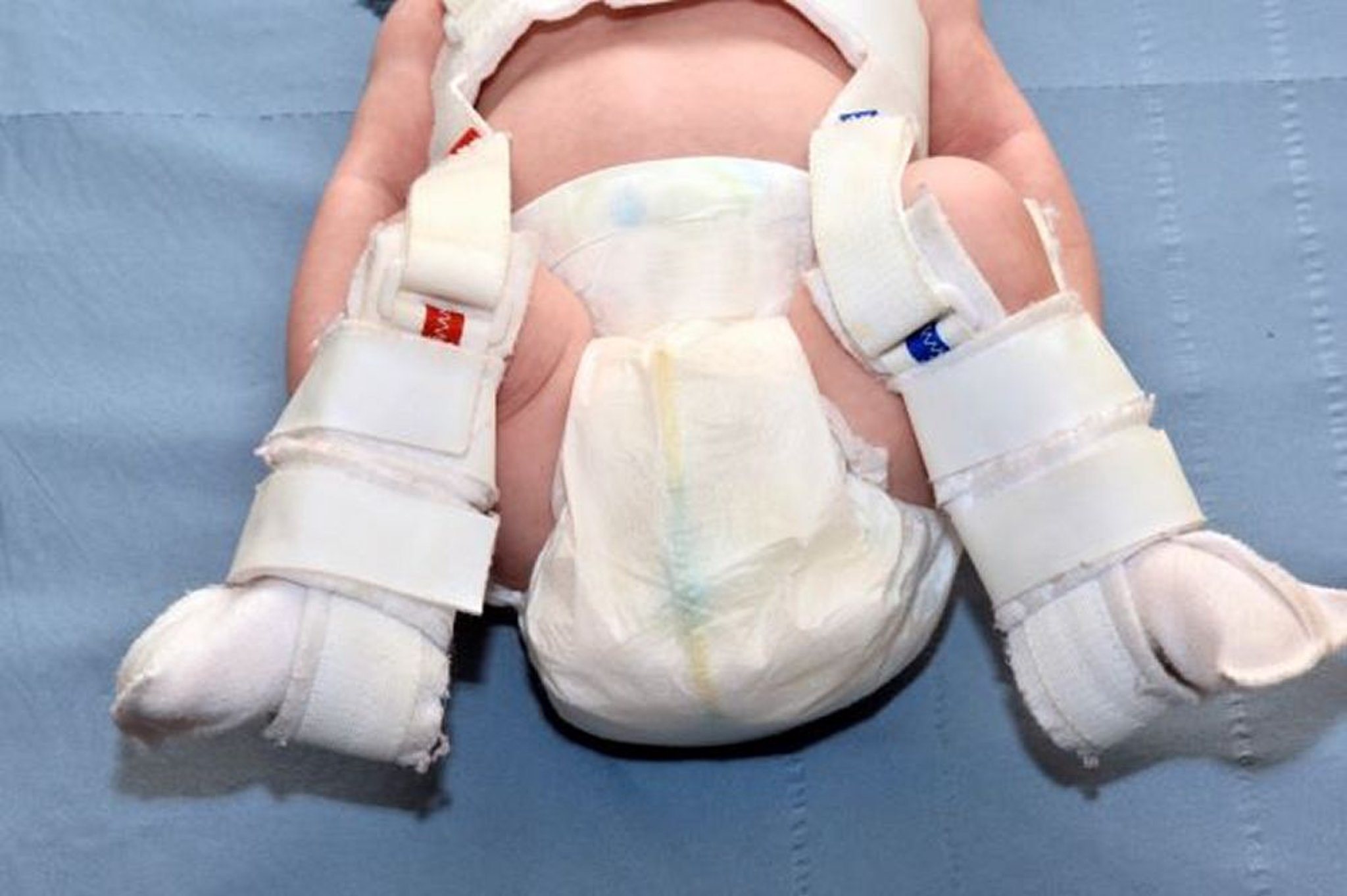 Стремена Павлика