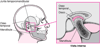 A articulação temporomandibular