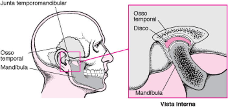 A articulação temporomandibular