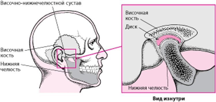 Височно-нижнечелюстной сустав