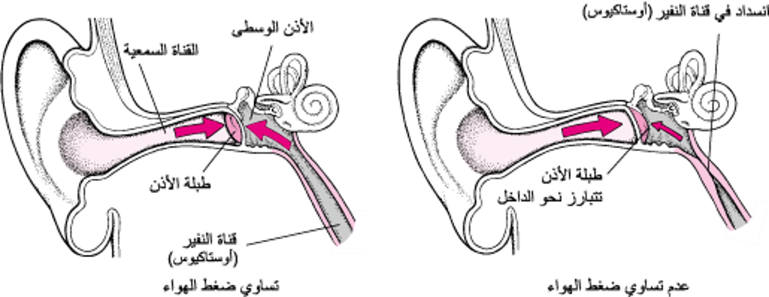 نفير أوستاش: الحفاظ على توازُن ضغط الهواء