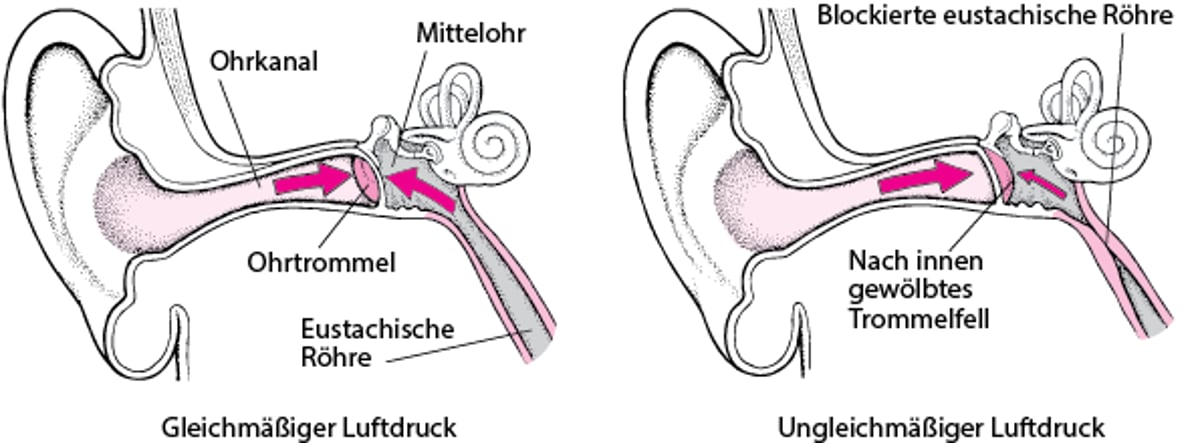 Die eustachische Röhre: Erhaltung gleicher Luftdruckverhältnisse