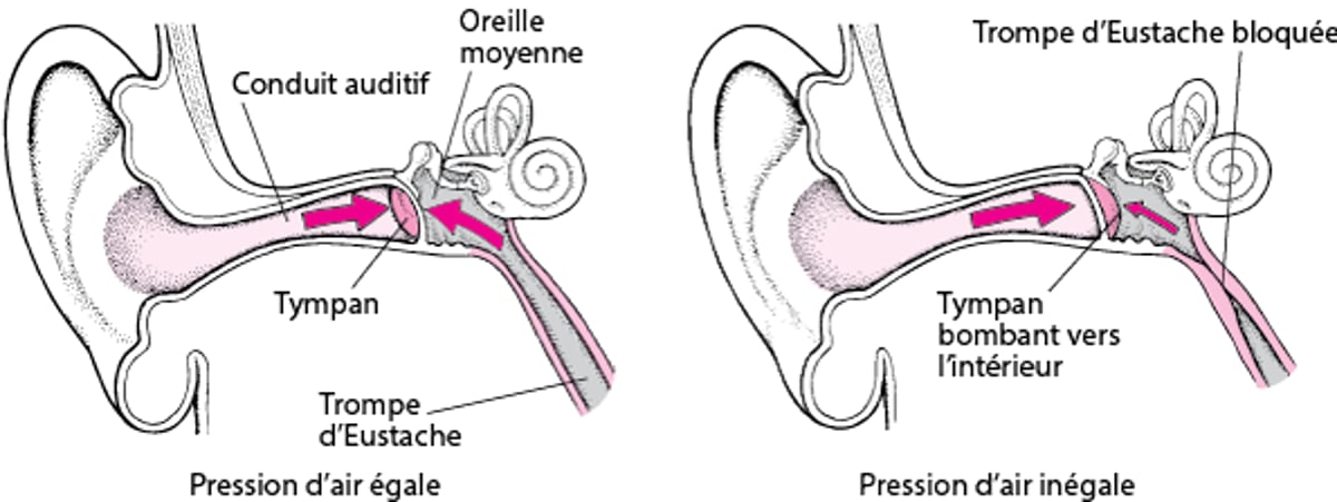 Trompe d’Eustache : Maintien de l’égalité de la pression de l’air