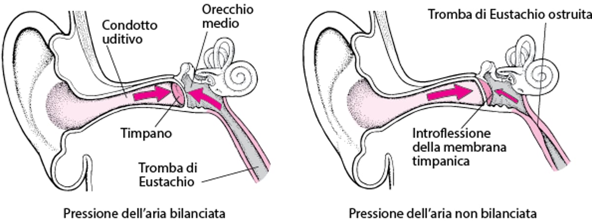 La tromba di Eustachio: mantenimento di una pressione aerea uguale