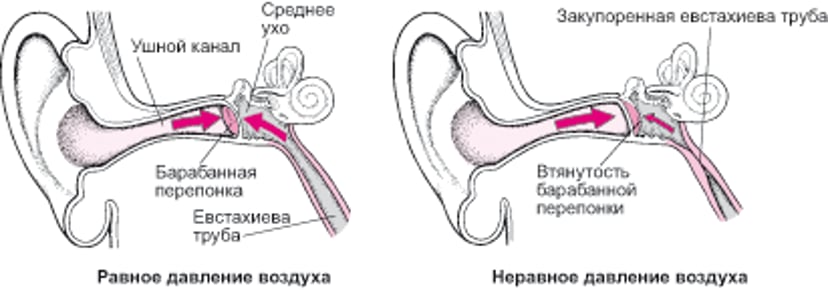 Евстахиева труба: поддержание одинакового давления