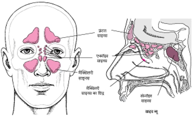 साइनस का पता लगाना