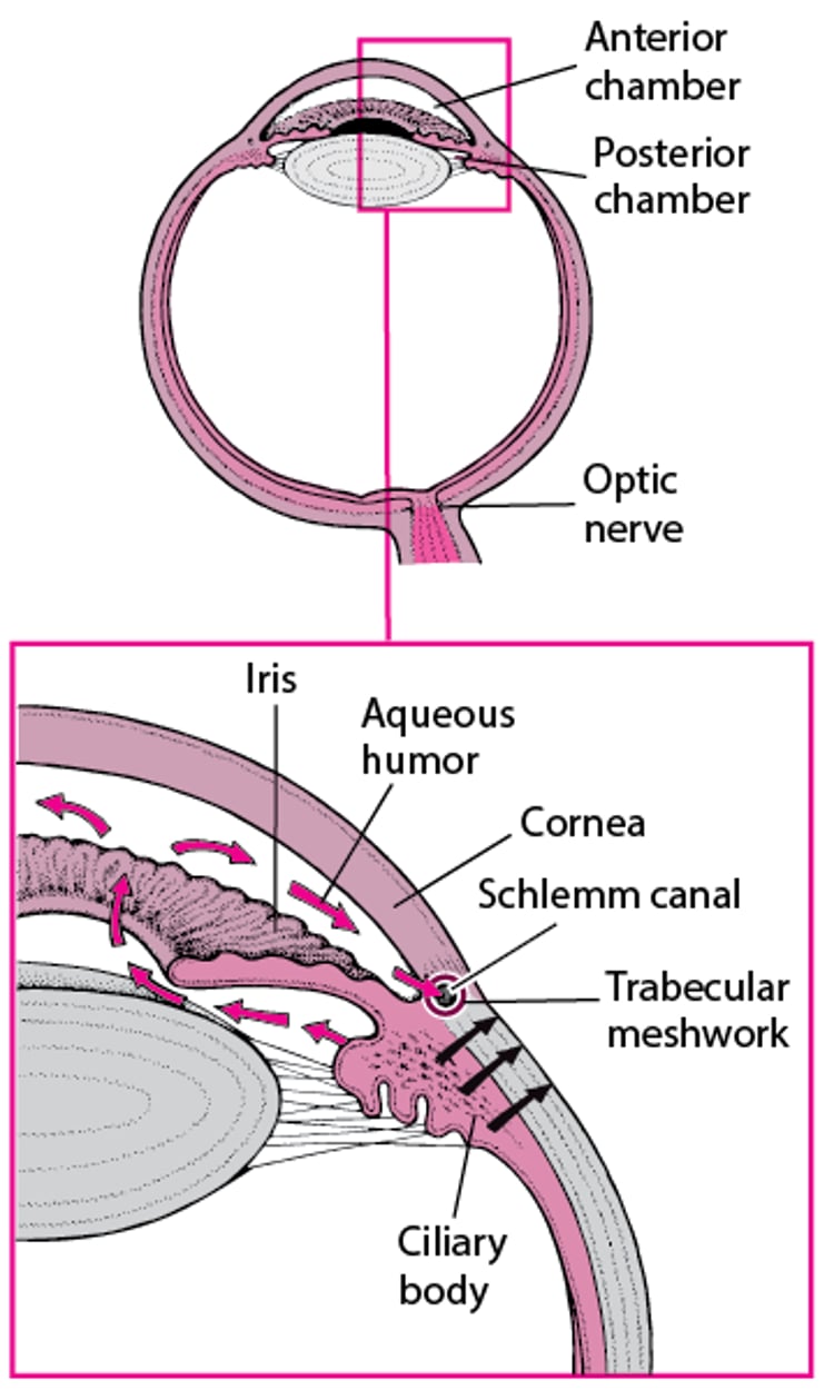 Normal Fluid Drainage
