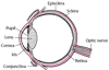 Parts of the Eye