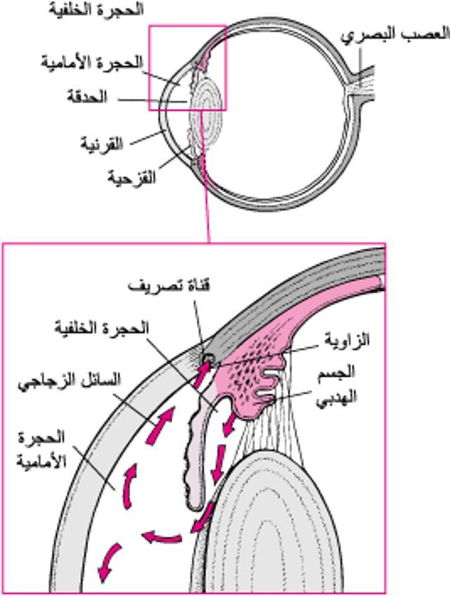 التصريف الطبيعي للخلط المائي