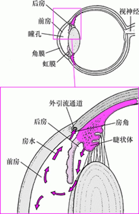 正常房水引流