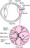 Visione della retina