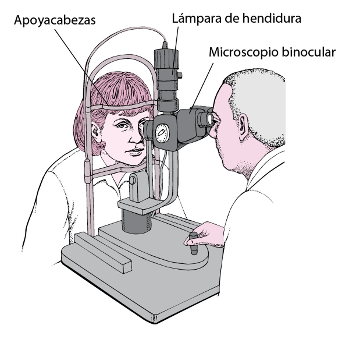 ¿Qué es una lámpara de hendidura?