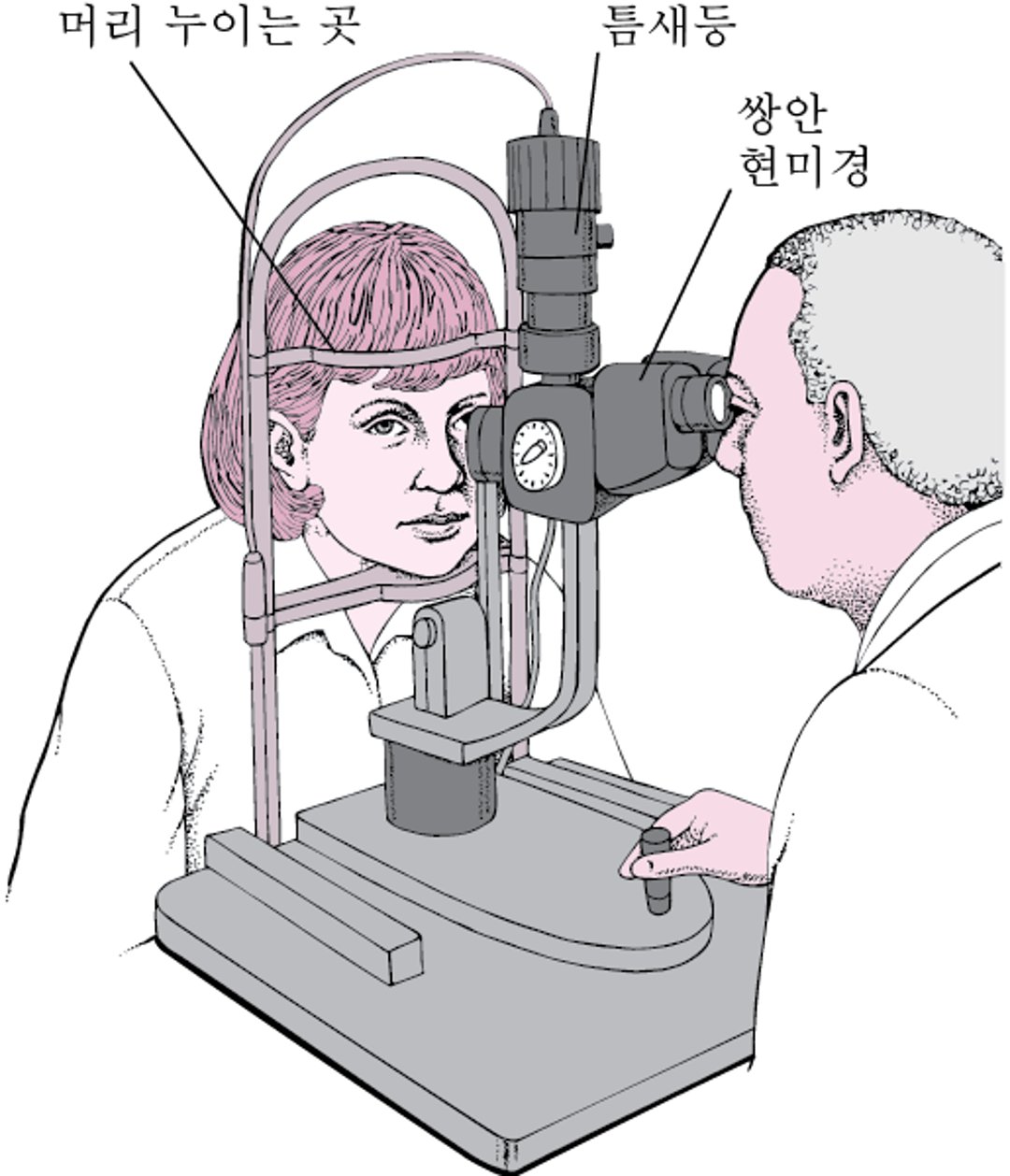 틈새등이란?