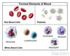 Types of Blood Cells