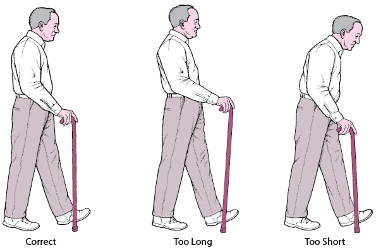 Just the Right Height