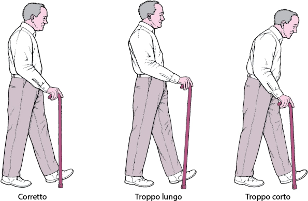 Altezza giusta del bastone