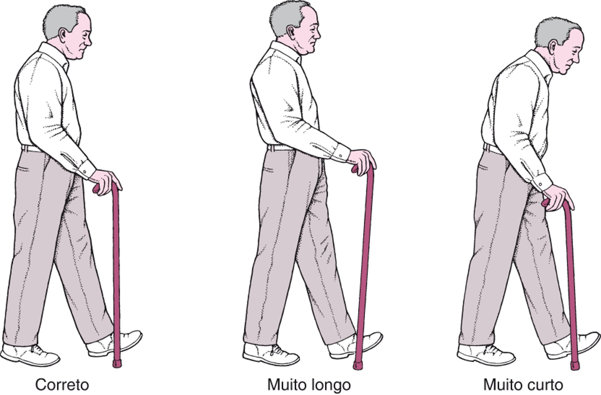 Apenas a altura correta