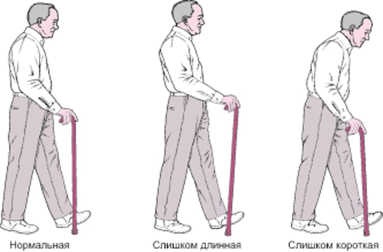 Правильная высота