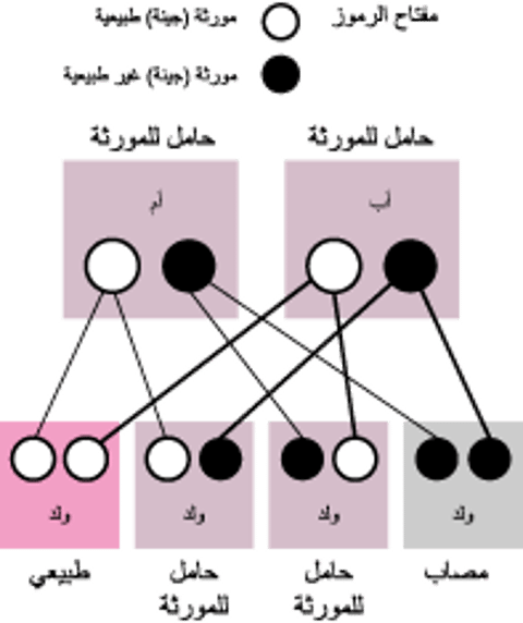 الاضطراباتُ المتنحِّية غير المرتبطة بالصِّبغي X