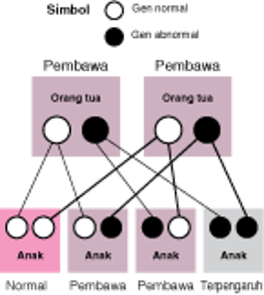 Gangguan Resesif yang Tidak Terpaut-X (Autosom)