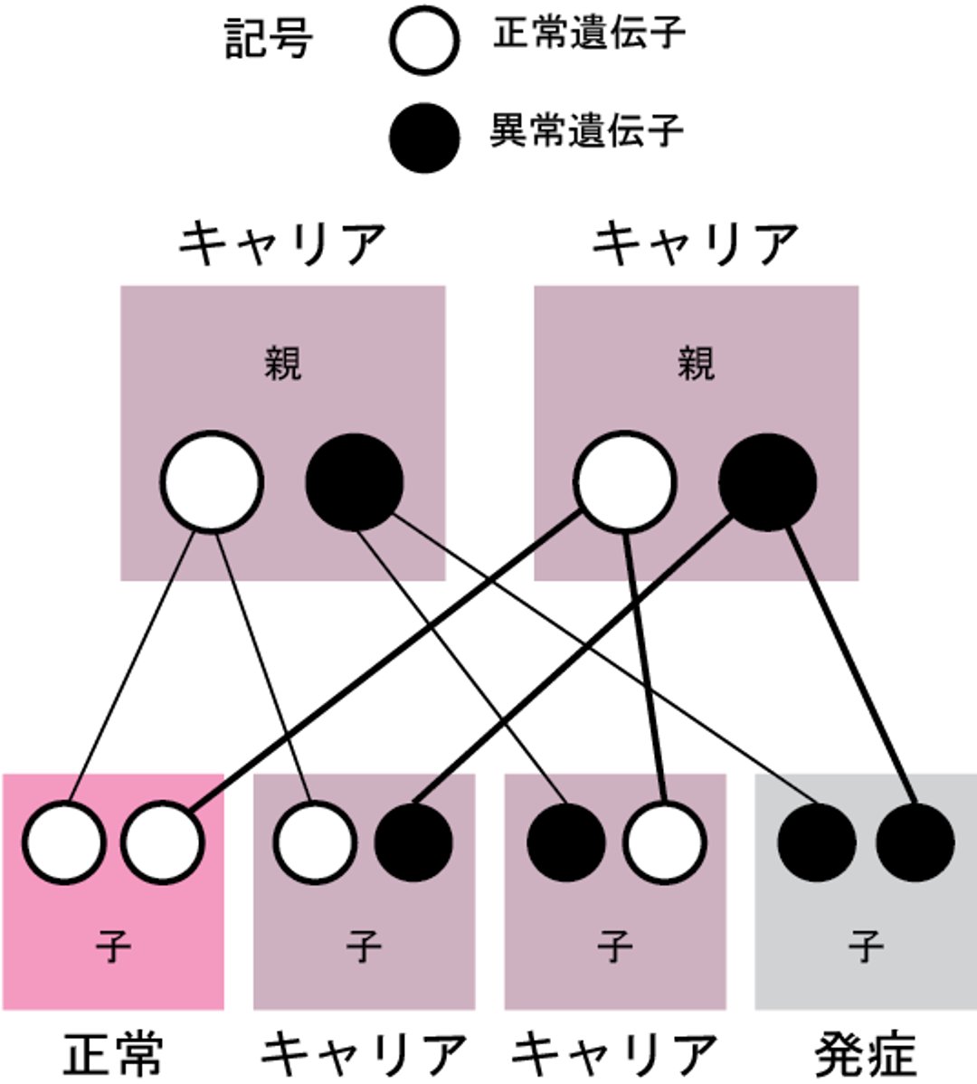 常染色体潜性遺伝（劣性遺伝）疾患