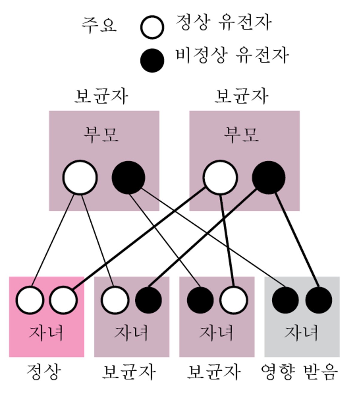 비 X 연관(보통염색체) 열성 질환