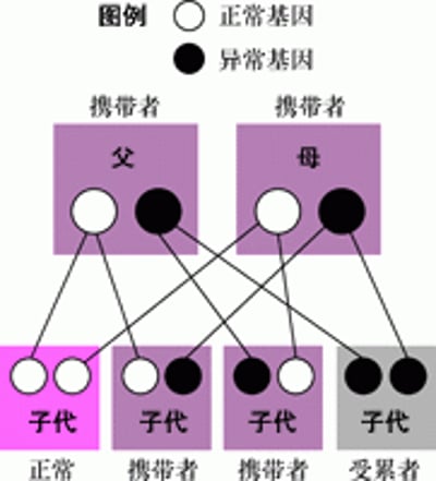 非性连锁（常染色体）隐性遗传