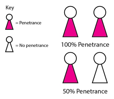 How Genes Affect People: Penetrance and Expressivity