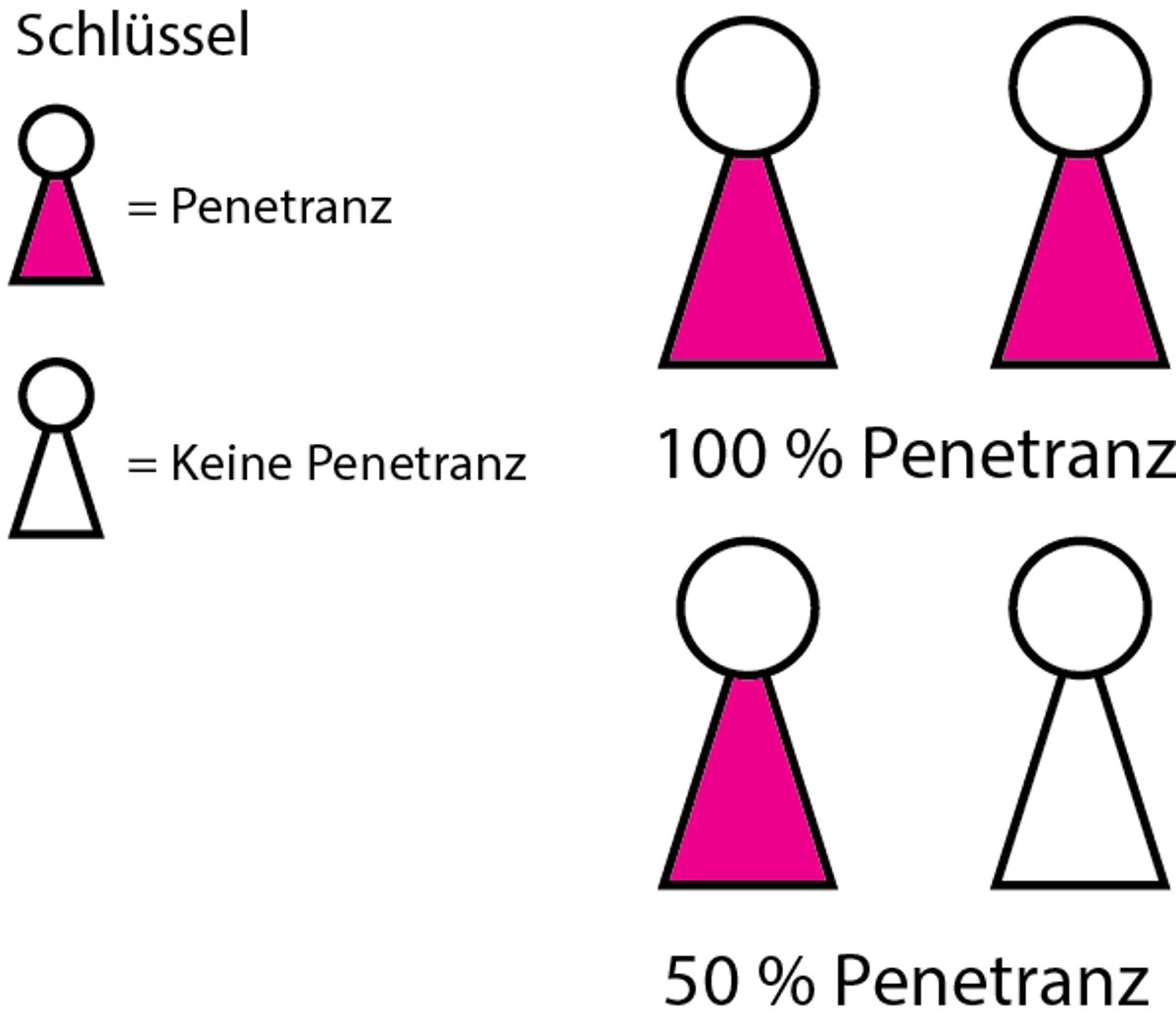 Wie Gene sich auf den Menschen auswirken: Penetranz und Expressivität
