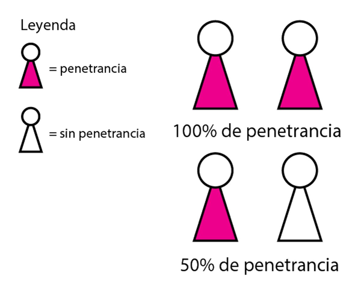 Cómo afectan los genes a las personas: penetrancia y expresividad