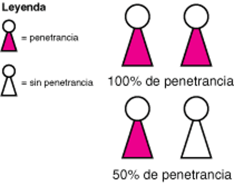 Cómo afectan los genes a las personas: penetrancia y expresividad