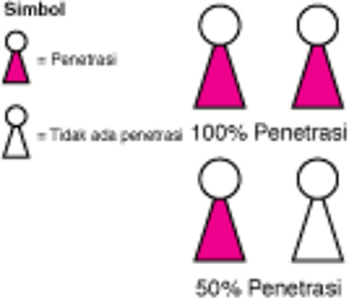 Cara Gen Memengaruhi Manusia: Penetrasi dan Ekspresivitas