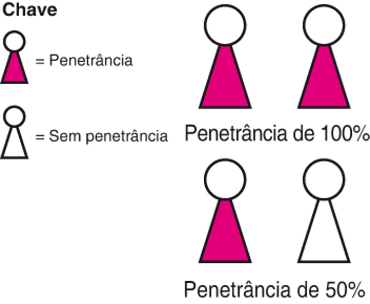 Como os genes afetam as pessoas: Penetrância e expressividade