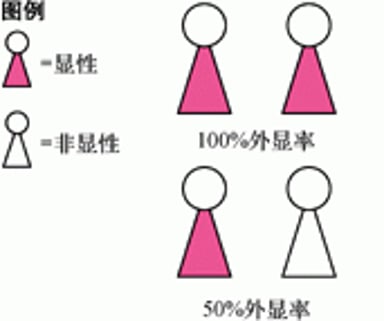 基因如何影响个体:. 外显率和表现度
