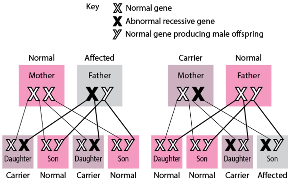 X-Linked Recessive Disorders