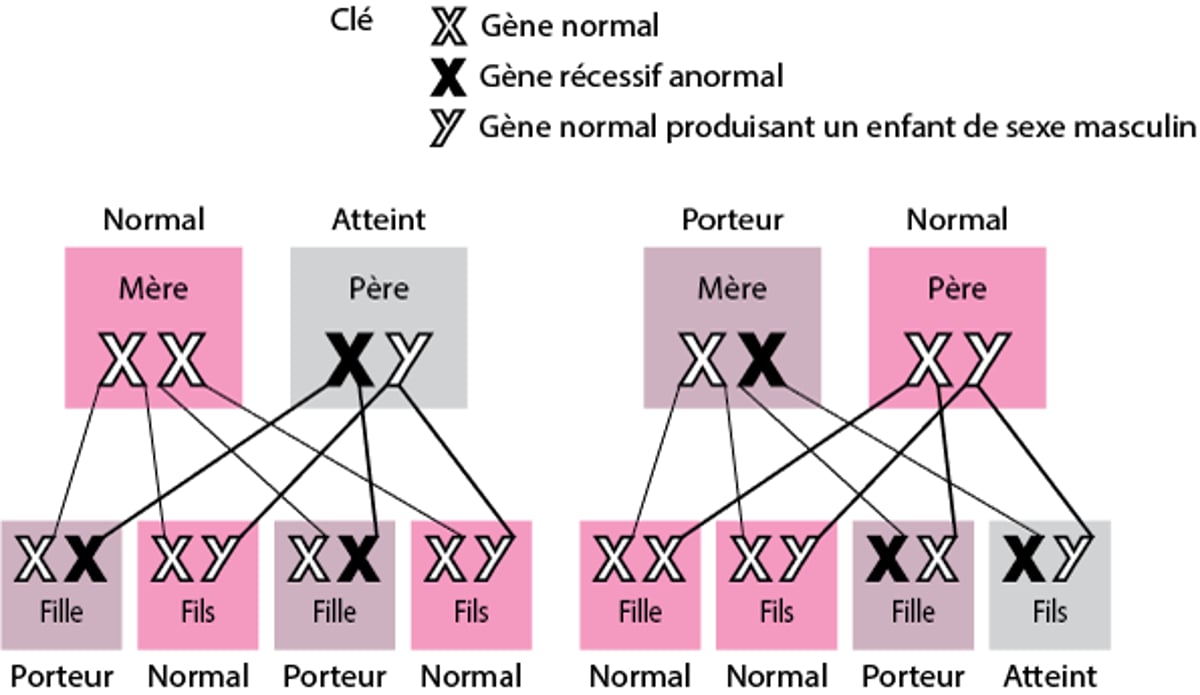 Maladies récessives liées à l’X