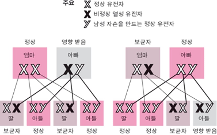 X-연관 열성 질환