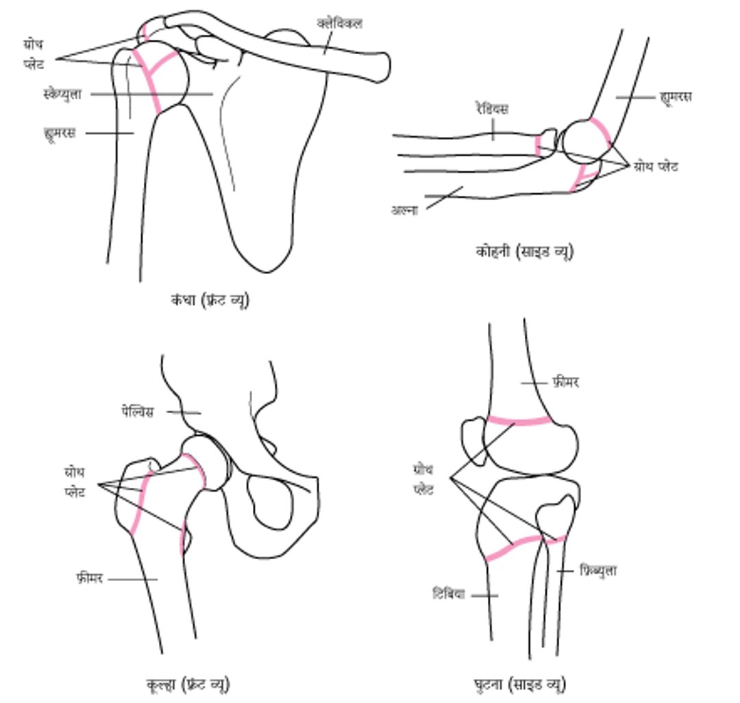 ग्रोथ प्लेट का पता लगाना