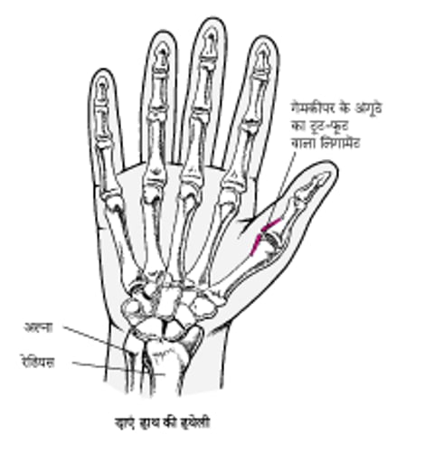 एड़ी की हड्डी का स्थान पता करना