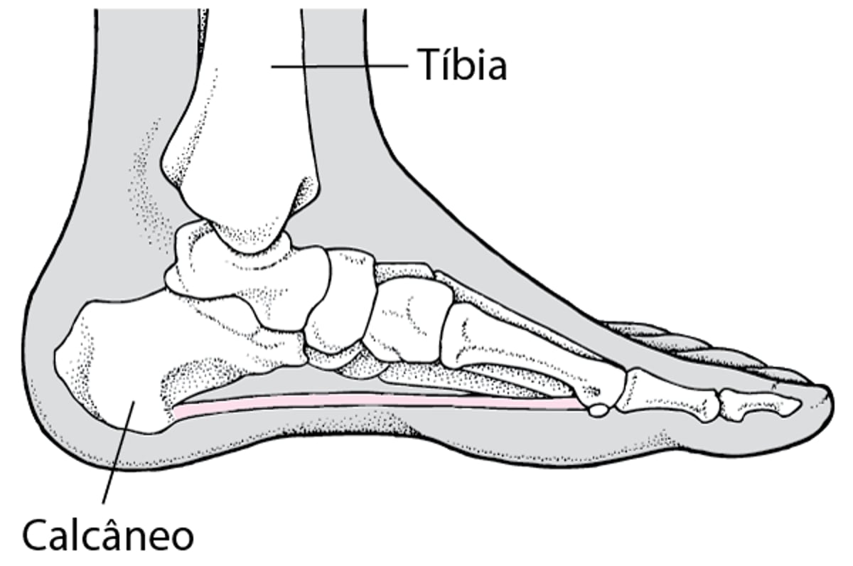 Localização do osso do calcanhar