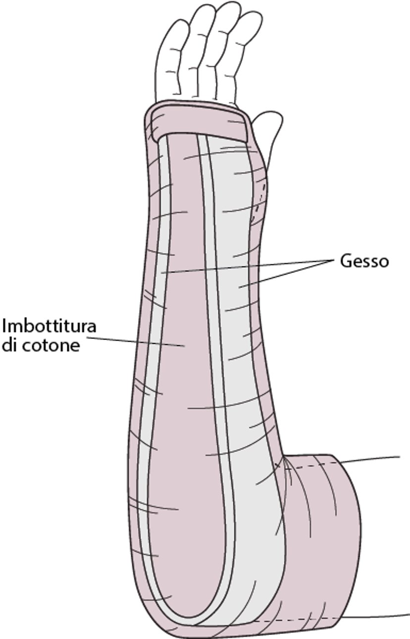 Doccia bivalve