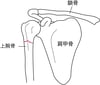 肩かたの骨折こっせつ