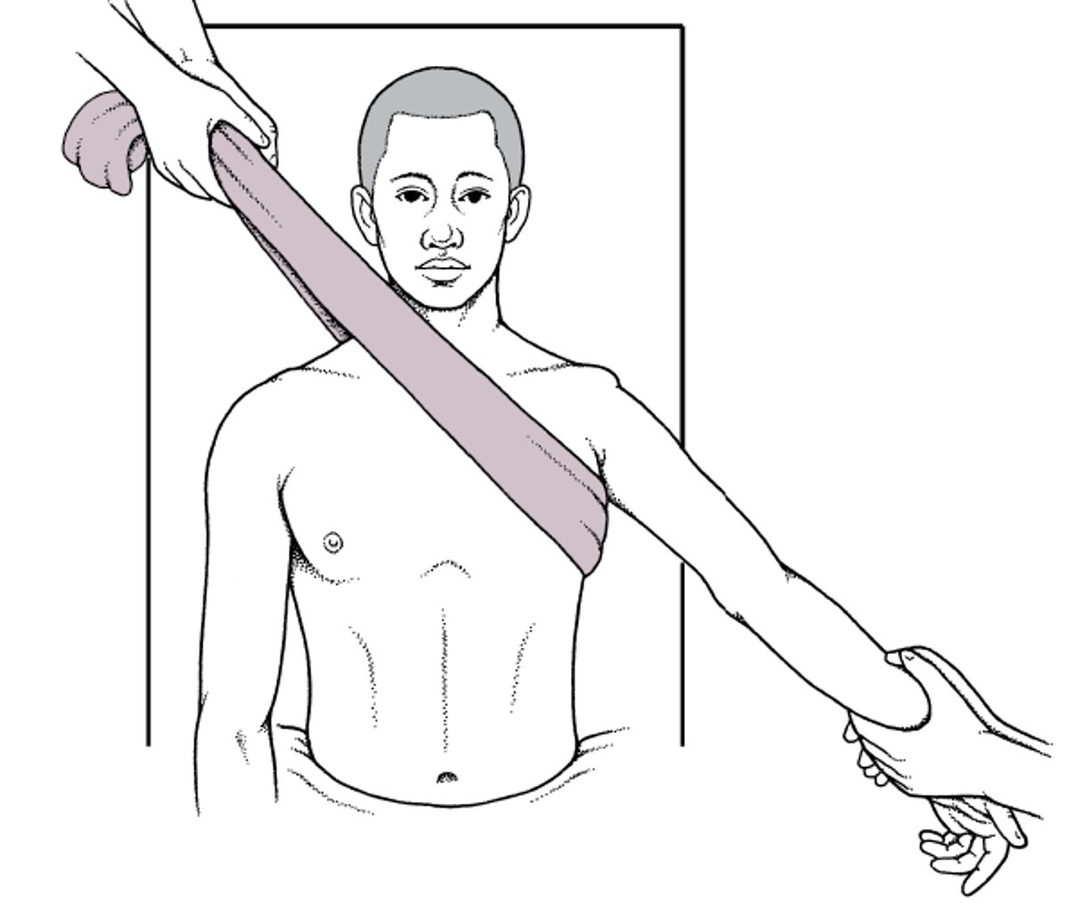 Putting a Shoulder Back in Place: Traction-Countertraction