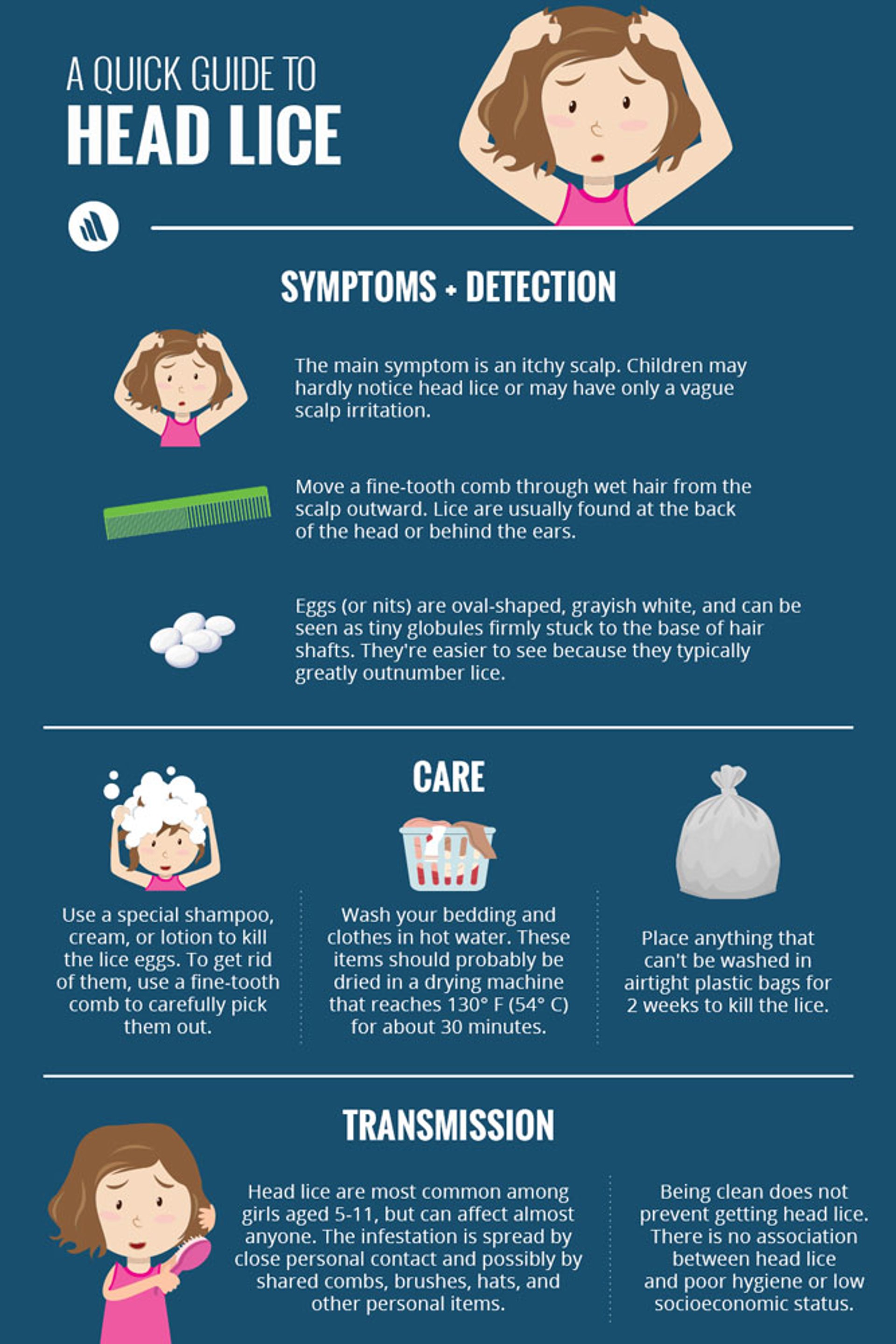 A Quick Guide to Head Lice in Children